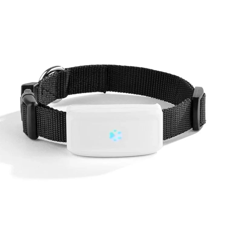 TK911 2G Haustier-GPS-Tracker, wasserdicht, TK911