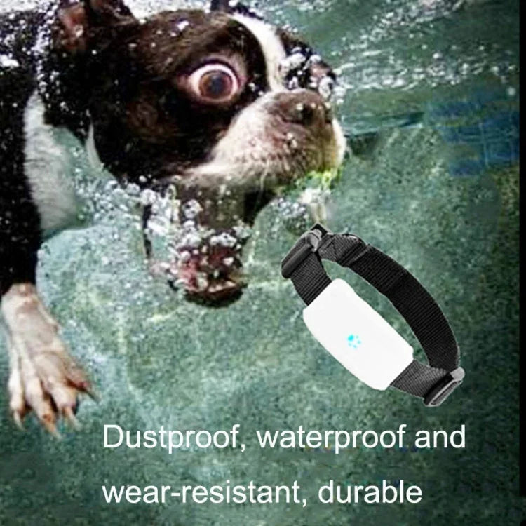 TK911 2G Haustier-GPS-Tracker, wasserdicht, TK911