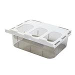 Haushalts-Kleiderschrank-Schubladen-Aufbewahrungsbox für Unterwäsche und Socken, mit Unterteilung (Transparent Grau), ohne Unterteilung (Transparent Grau), mit Unterteilung (Transparent), ohne Unterteilung (Transparent)