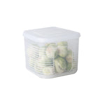 A2958 Gehackte Zwiebel Knoblauch Kühlbox mit Deckel, Klein, 6-teilig / Sets