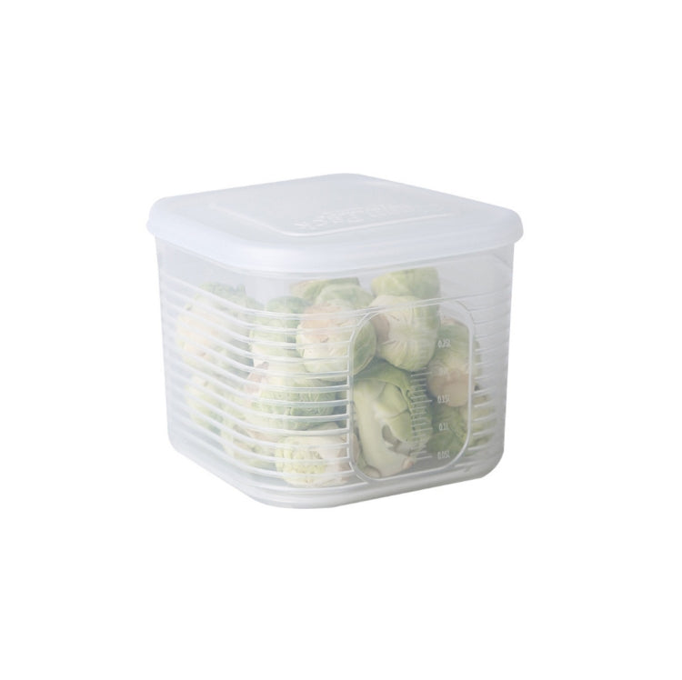 A2958 Gehackte Zwiebel Knoblauch Kühlbox mit Deckel, Klein, 6-teilig / Sets