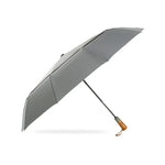 PARACHASE Zehn-Speichen-Doppelschicht Großer Winddichter Automatischer Geschäfts-Regenschirm, Grau, Schwarz, Marineblau, Khaki