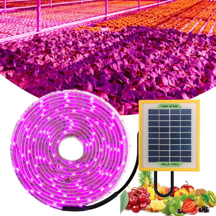 LED Vollspektrum Pflanzenwachstumslampe