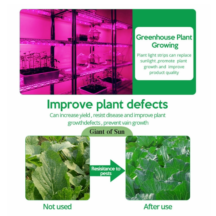 画像代替テキスト