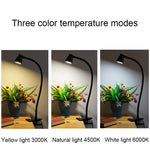 668A001 USB 360 Degree Bend Hose Desk Lamp, Spec:, White Stepless Dimming, Black Stepless Dimming, White Two-speed Dimming, Black Two-speed Dimming