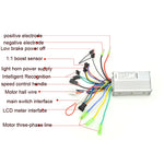 866 250W 350W Universeller Elektroradroller-Controller Kann mit Tachometern ausgestattet werden