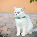 2er-Pack Nachtreflektierendes Nylon-Katzenhalsband mit Glocke, ohne Gravur Grün, ohne Gravur Himmelblau, ohne Gravur Lila, ohne Gravur Grasgrün, ohne Gravur Schwarz, ohne Gravur Rosenrot