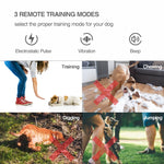 Intelligentes ferngesteuertes Hundetrainingshalsband mit automatischer Bellstoppfunktion, Halsband schwarz, Halsband weiß