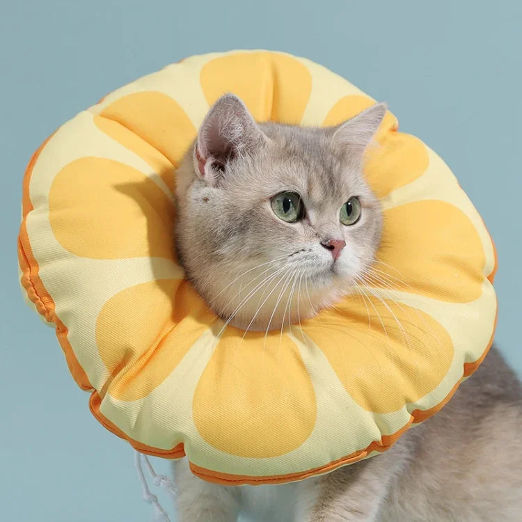 Elizabeth-Halsband für Katzen und Kätzchen, Anti-Leckhalsband, Kopfschutz, Größen: S, M, L