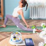 Dekorative Tischlampe, kabelloses Schnellladen, intelligentes Bluetooth-Musiklicht, Stil:, Bluetooth-Modell