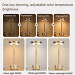 Wiederaufladbare Schreibtischlampe Abnehmbare Schreibtischlampe Bar Atmosphären Nachtlicht, Gold, Silber, Schwarz