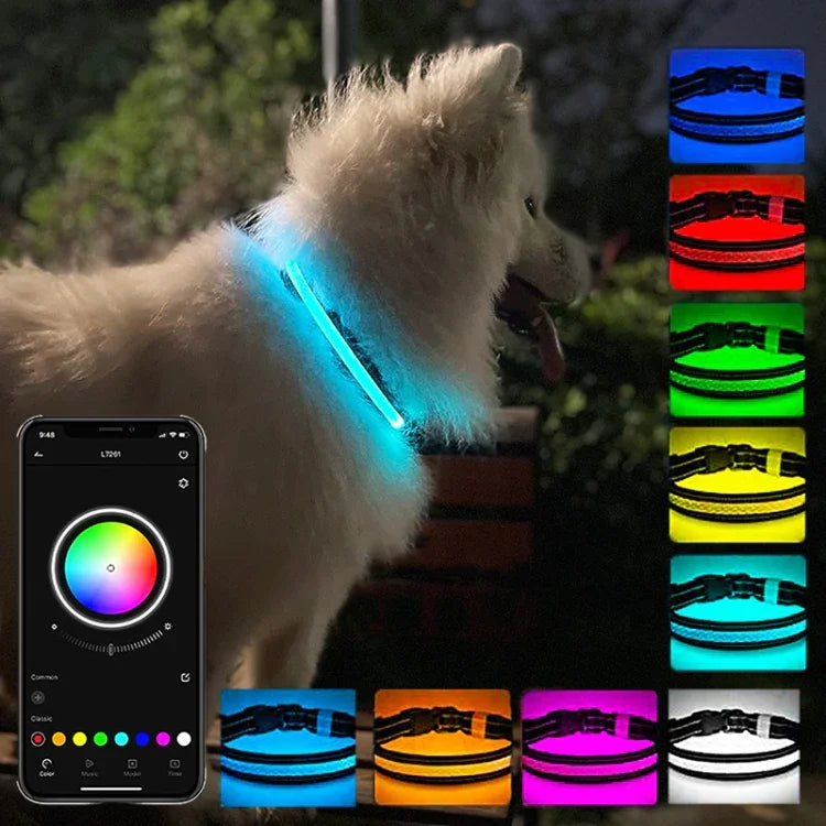 Wiederaufladbares, verschleißfestes und wasserdichtes LED-Beleuchtungshalsband für Haustiere, Größen: XS, S, M, L
