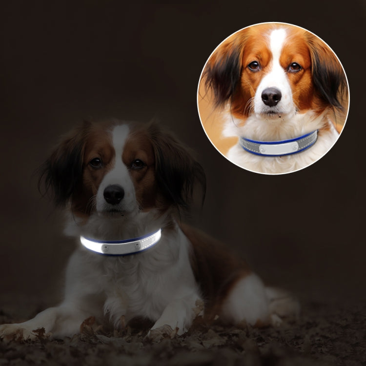 CL181K Reflektierendes Halsband für Haustiere, M (bügelfrei), Rosa; L (bügelfrei), Dunkelbraun; XXL (bügelfrei), Schwarz; S (bügelfrei), Schwarz; M (bügelfrei), Hellgrün; L (bügelfrei), Hellbraun; XXL (bügelfrei), Dunkelblau; S (bügelfrei), Dunkelblau ...