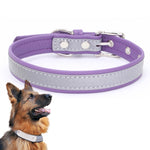 CL181K Reflektierendes Halsband für Haustiere, M (bügelfrei), Rosa; L (bügelfrei), Dunkelbraun; XXL (bügelfrei), Schwarz; S (bügelfrei), Schwarz; M (bügelfrei), Hellgrün; L (bügelfrei), Hellbraun; XXL (bügelfrei), Dunkelblau; S (bügelfrei), Dunkelblau ...