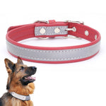 CL181K Reflektierendes Halsband für Haustiere, M (bügelfrei), Rosa; L (bügelfrei), Dunkelbraun; XXL (bügelfrei), Schwarz; S (bügelfrei), Schwarz; M (bügelfrei), Hellgrün; L (bügelfrei), Hellbraun; XXL (bügelfrei), Dunkelblau; S (bügelfrei), Dunkelblau ...