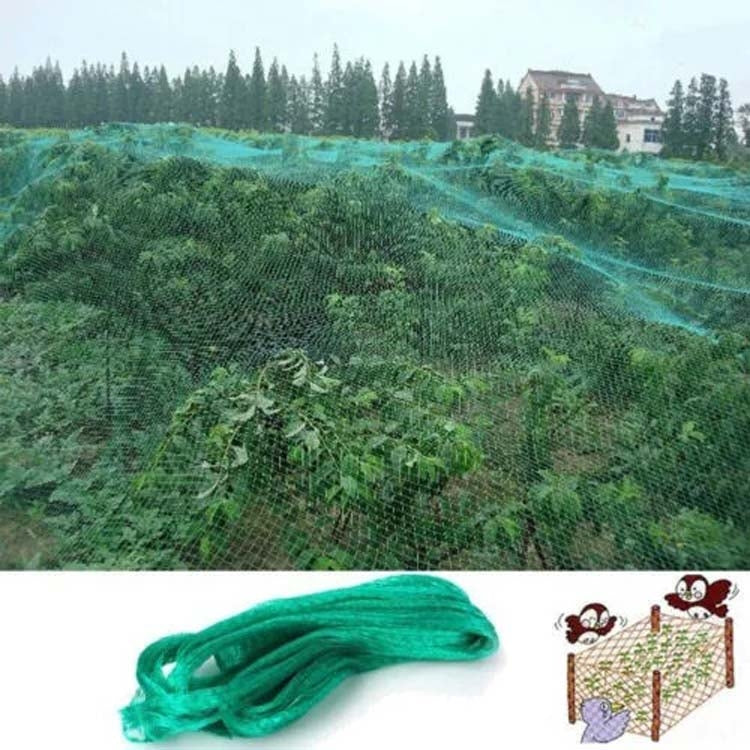 Vogelschutznetz Netz Gartenpflanzennetz Schutz für Pflanzen und Früchte, 2Mx10M, 4Mx5M, 4Mx10M, 4Mx12M, 5Mx10M, 5Mx20M, 4Mx15M