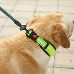 Hundehalsband aus Wabennetz, atmungsaktiv, reflektierend, Anti-Würgehalsband, XS, S, M, L, XL