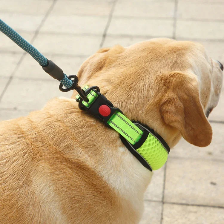 Hundehalsband aus Wabennetz, atmungsaktiv, reflektierend, Anti-Würgehalsband, XS, S, M, L, XL