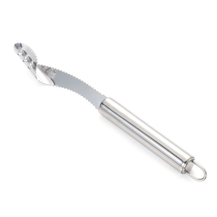 10 Stück Edelstahl-Pfefferkernentkerner, Obstkernmesser, runder Griff, Diplonema-Griff