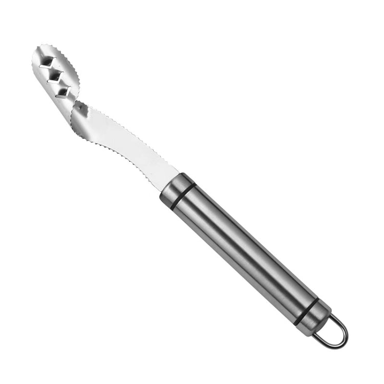 10 Stück Edelstahl-Pfefferkernentkerner, Obstkernmesser, runder Griff, Diplonema-Griff