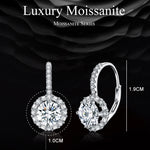 S925 Sterlingsilber Moissanit Zirkonia Elegante Ohrringe Weißgold plattiert, MSE002