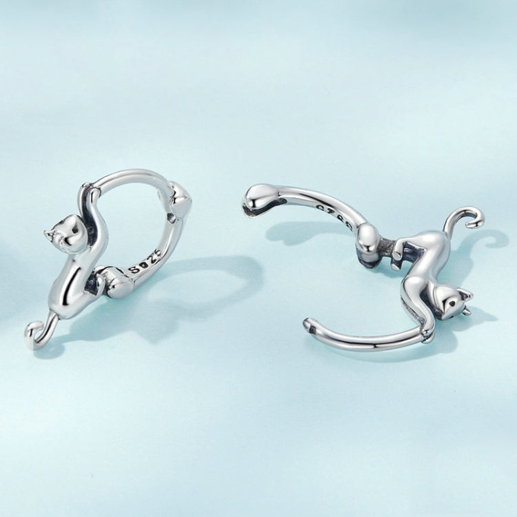Sterlingsilber S925 Diamant Stretch Katzen Stretch Ohrringe, Größe:, Klein Platin Beschichtet, Groß Platin Beschichtet, Groß Vergoldet, Groß Schwarz Vergoldet, Groß Roségold Beschichtet