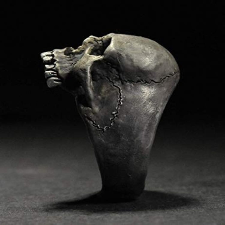C56213 2 Stück Punk Vintage Totenkopf Ring Horror Totenkopf Ring Herren Geschenk, 12, 13, 14