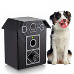 Ultraschall-Bellstopper für Haustiere, Hundetrainer, Farbauswahl zufällig, Spezifikation: UL10, UL10, UL20