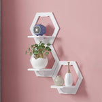 Wall Hanging Shelf Flower Pot Multifunctional Storage Box Room Decoration, Round