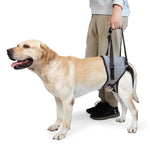 Dekompressions-Reisegurt für die Hinterbeine von Hunden, geeignet für ältere und verletzte Hunde, Größen: S, M, L