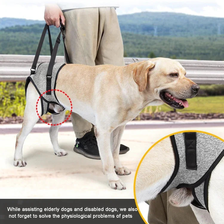 Dekompressions-Reisegurt für die Hinterbeine von Hunden, geeignet für ältere und verletzte Hunde, Größen: S, M, L