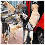 Dekompressions-Reisegurt für die Hinterbeine von Hunden, geeignet für ältere und verletzte Hunde, Größen: S, M, L