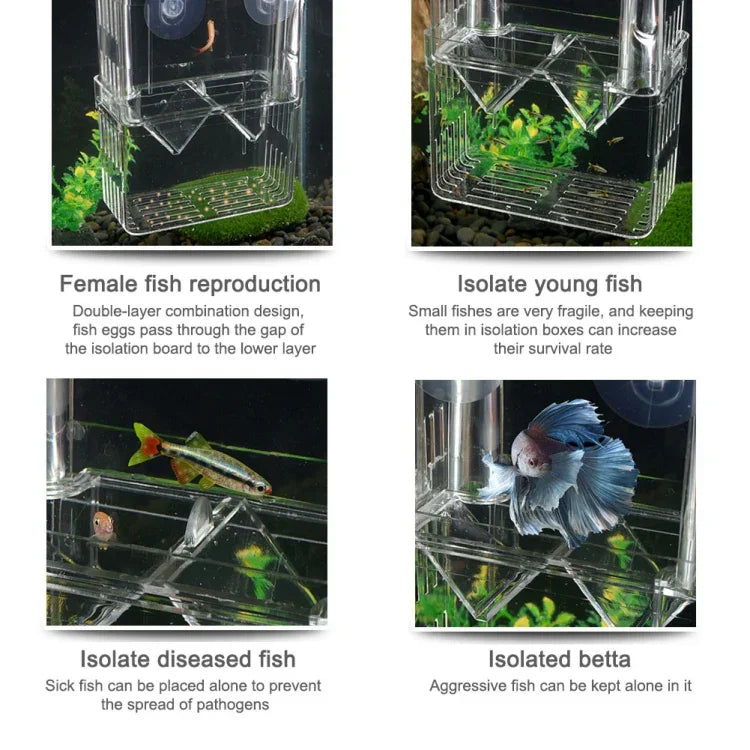 Peacock Fish Doppelschicht Transparente Zuchtisolationsbox Aquarium Zuchtbox, Klein, Groß, Extragroß