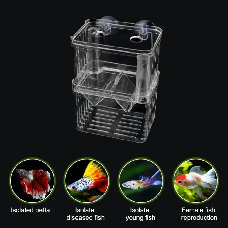 Peacock Fish Doppelschicht Transparente Zuchtisolationsbox Aquarium Zuchtbox, Klein, Groß, Extragroß