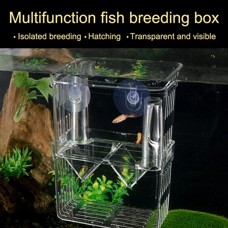 Peacock Fish Doppelschicht Transparente Zuchtisolationsbox Aquarium Zuchtbox, Klein, Groß, Extragroß
