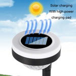 Outdoor Solar-LED-Erdspießleuchte mit doppelter Lichtquelle, JG04801 Farblicht, JG04802 Farblicht, JG04803 Flamme, JG04804 Flamme