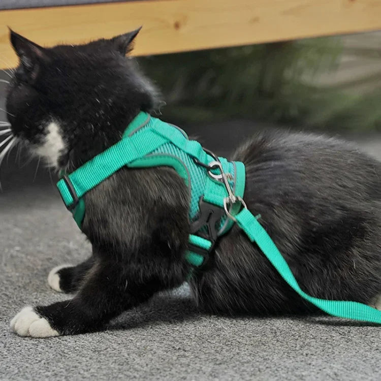 Haustier-Weste mit Zugseil, reflektierendes, atmungsaktives Hunde- und Katzengeschirr, Größen: S, M, L, XL