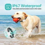 Intelligentes Hundetrainingshalsband mit Bellstopper, wasserdicht und mit Vibrationsfunktion
