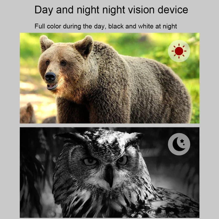 APEXEL 3-Zoll-LCD-HD-Bildschirm Foto-Video Tragbares Fernglas Digitales Infrarot-Nachtsichtgerät, APL-NV009