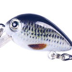 HENGJIA 2,5cm 1,5g Schwimmender Wasser Kleiner Dicker Mikro-Objekt Mini 3D Druck Luya Köder