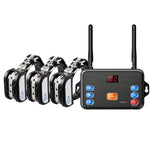 2-in-1-Haustier-Funkzaun mit Bellkontrolle und intelligentem Hundetrainer, 1 für 1, 1 für 2, 1 für 3