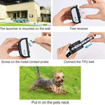 2-in-1-Haustier-Funkzaun mit Bellkontrolle und intelligentem Hundetrainer, 1 für 1, 1 für 2, 1 für 3