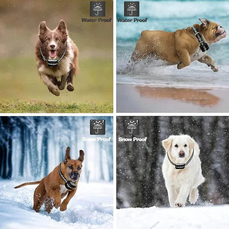 2-in-1-Haustier-Funkzaun mit Bellkontrolle und intelligentem Hundetrainer, 1 für 1, 1 für 2, 1 für 3