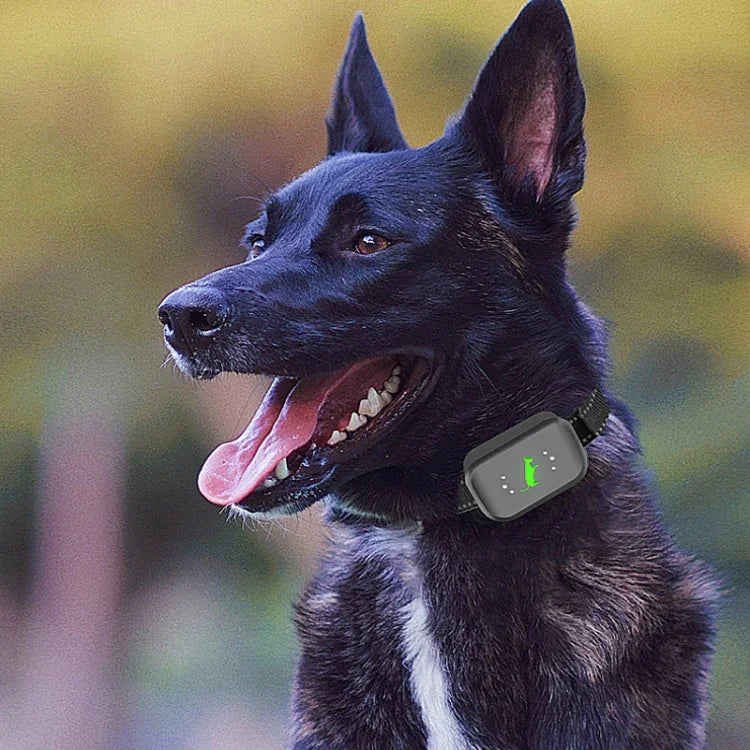 Intelligenter, wasserdichter Hundetrainer mit Elektroschockfunktion, wiederaufladbar, ferngesteuerter Bellstopper