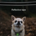 Intelligenter, wasserdichter Hundetrainer mit Elektroschockfunktion, wiederaufladbar, ferngesteuerter Bellstopper