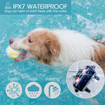 Intelligentes elektronisches Fernbedienungs-Hundetrainingsgerät, wasserdicht, Bellstopper für Haustiere, für einen oder zwei Hunde
