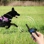 Pet Smart Elektroschock-Trainingshalsband, wasserdicht, Hundeerziehungsgerät, Empfänger + gelbe Fernbedienung, nur Empfänger
