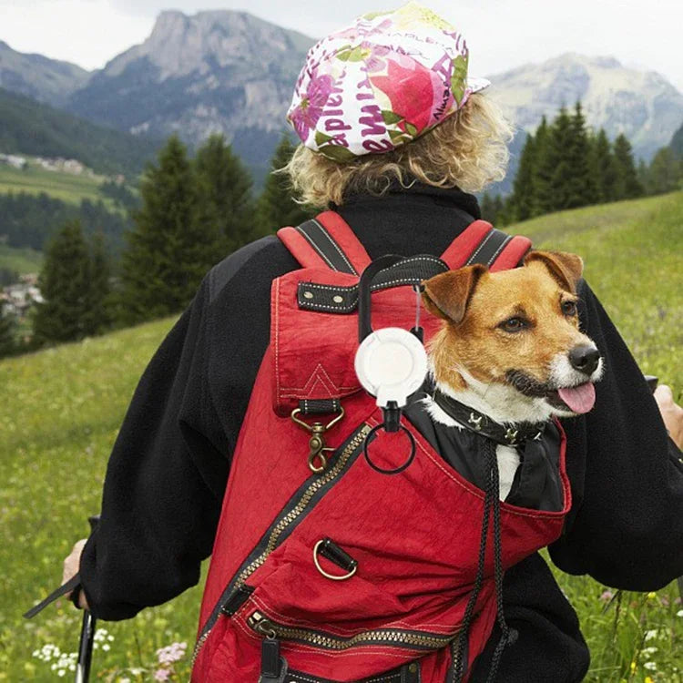 Flexible Kletterrucksack-Schnalle, einziehbarer Schlüsselanhänger mit Ausweisrolle, Sport-Schlüsselanhänger, flexibel