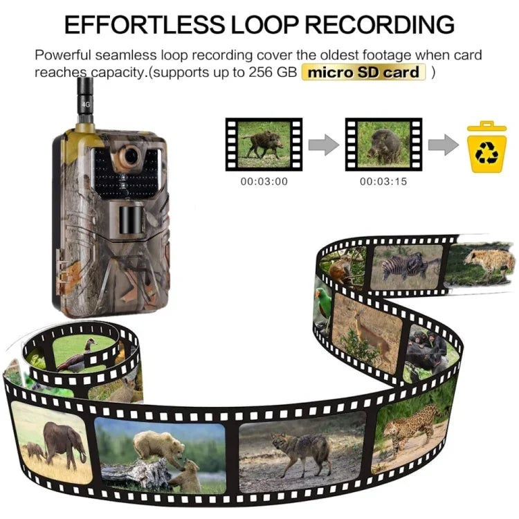36MP 4K 4G Wildkamera mit APP-Fernbedienung zur jederzeitigen Anzeige von Fotos/Videos, HC-900Pro