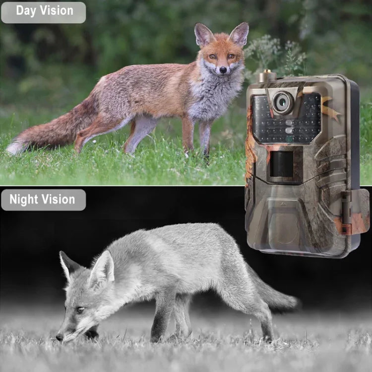 36MP 4K 4G Wildkamera mit APP-Fernbedienung zur jederzeitigen Anzeige von Fotos/Videos, HC-900Pro